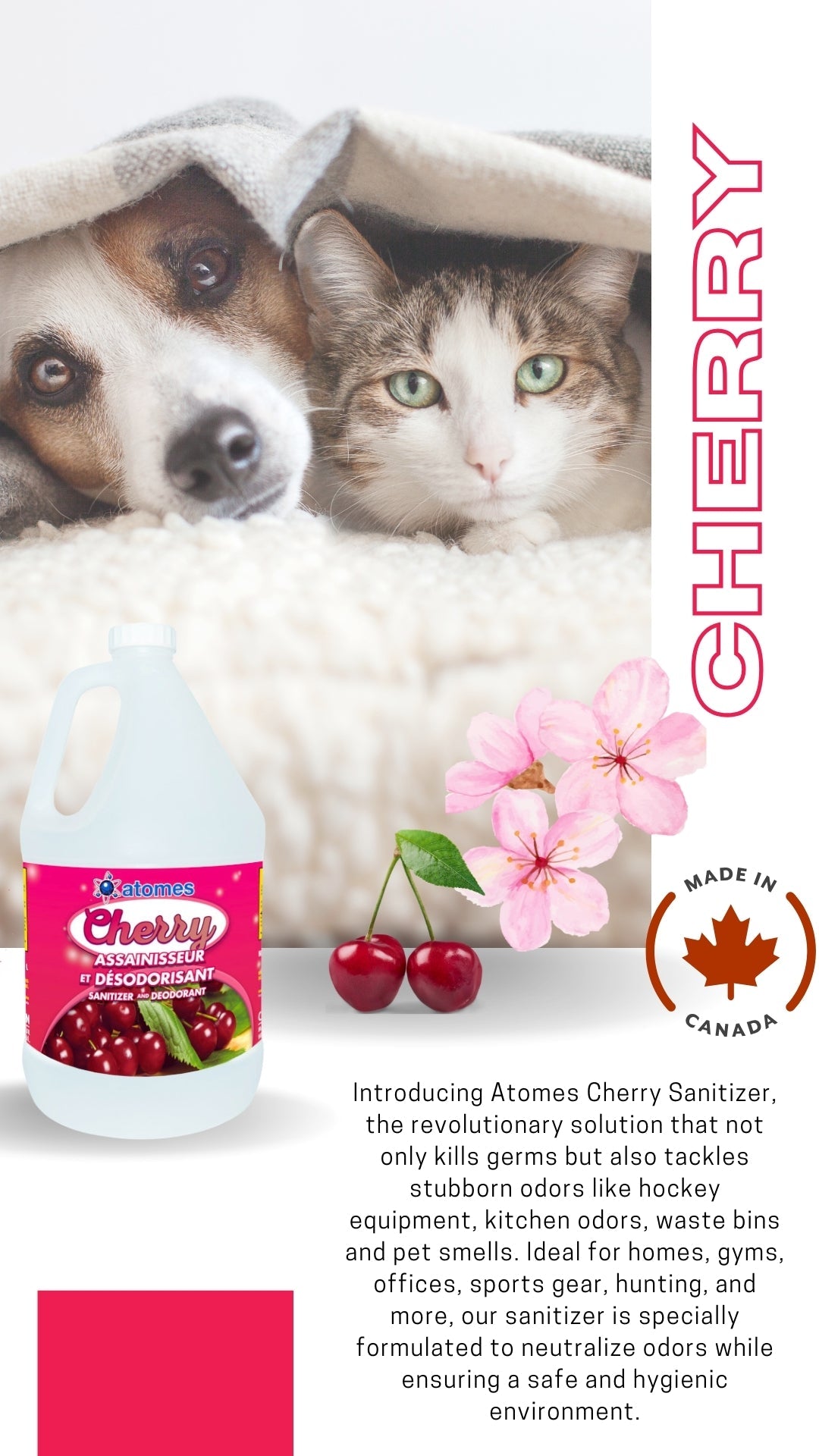 CHERRY - Nettoyant germicide assainissant et déodorant