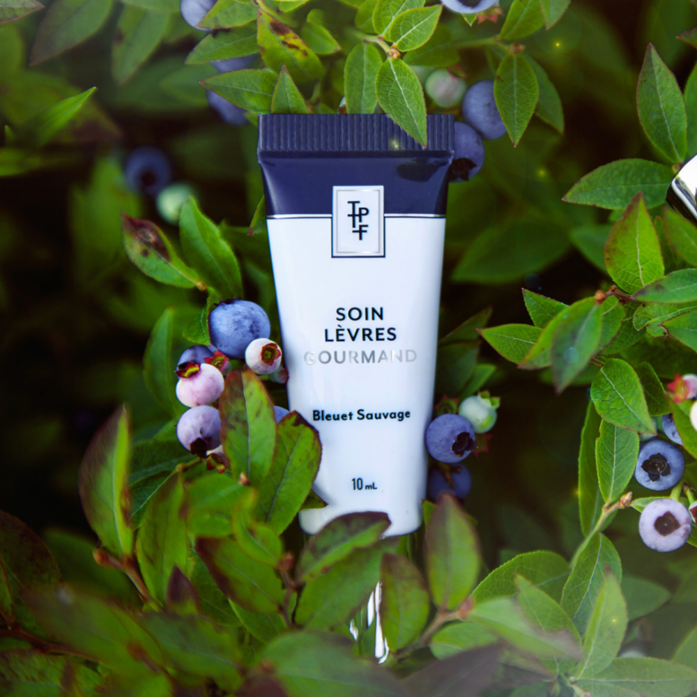 Indulgent Wild Blueberry Lip Care