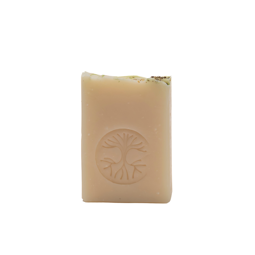 Bar soap - Conifers