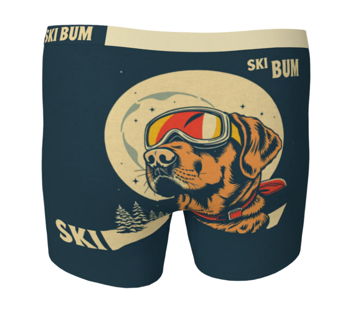 Boxer en Dog Ski Bum et stylé